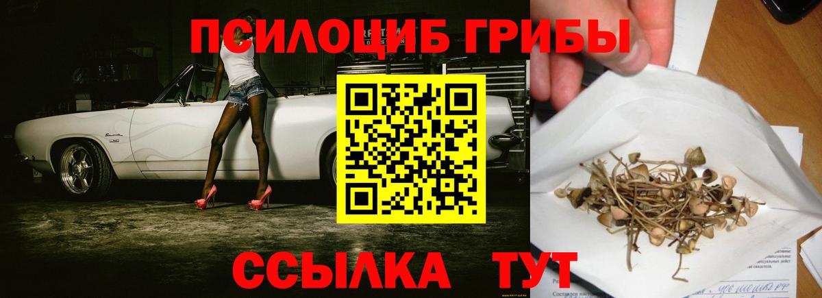Псилоцибиновые грибы мицелий  Псилоцибиновые грибы прущие грибы  Тавда  Вход с VPN 